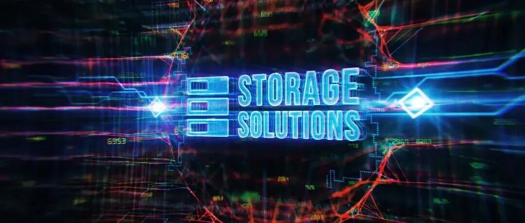 郭进先/陈丽清/张卫平等PRL | 智能自旋波压缩实现近完美量子存储