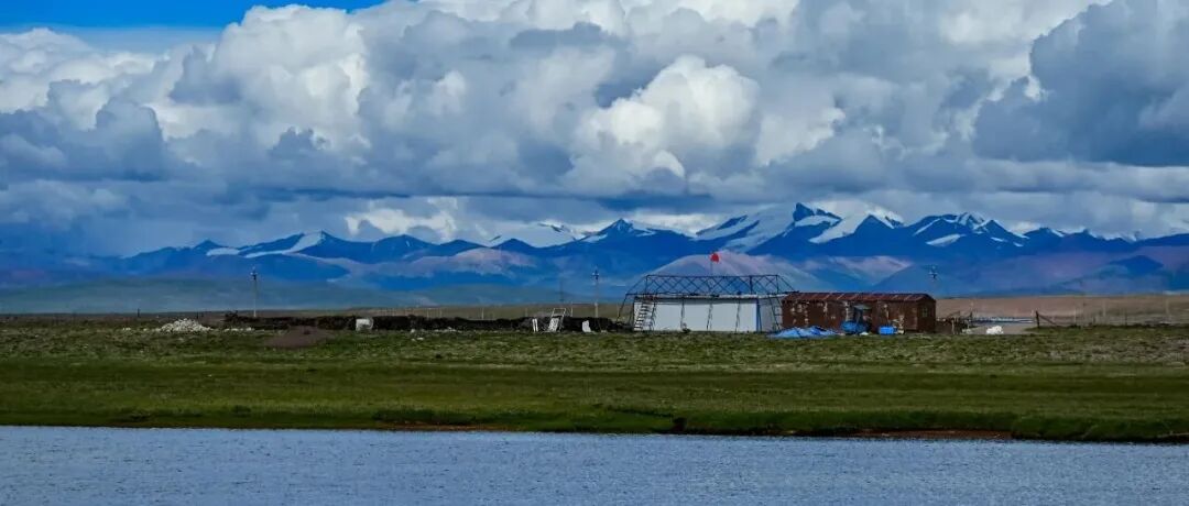 中科院地理所和青藏所联合揭示暴雪事件对高寒草地群落结构的影响：16年野外实验研究背景