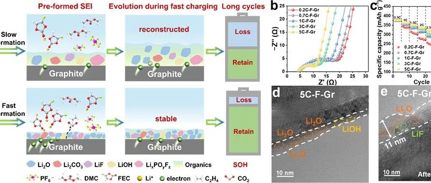 电场调控的负极界面相提高锂电池快充性能 | 进展