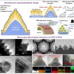 Advanced Materials：东北大学王强、刘晓明团队在光热超疏水领域发表重要成果