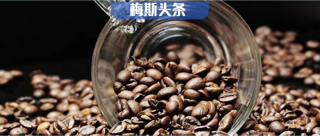 经常喝肺癌风险飙升54%？多项研究：每天多喝一杯肺癌风险增6%；每天3杯，男性膀胱癌风险猛涨79%