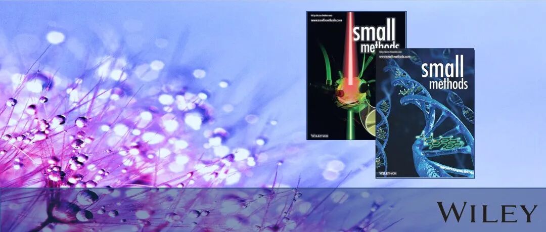 中央民族大学、北林 王晓东团队SMTD：交变电场辅助基质纳米沉积技术用以增强MALDI-MSI高空间分辨率成像性能