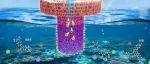 蒸发材料1105丨山东大学Desalination论文：Janus结构的3D水凝胶蒸发器实现高效海水淡化、盐分回收及油水分离