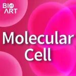 Mol Cell | 王雄军团队合作发现肝癌细胞利用代谢物UDP-GlcUA应激抵抗放疗的分子机制