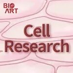 Cell Research | 破解阿片受体“信号密码”：张岩团队揭示GPCR信号调控新机制