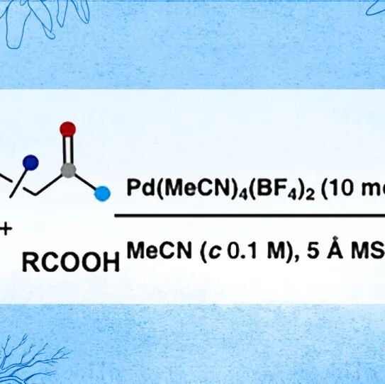 【Angew. Chem.】洛桑联邦理工祝介平团队：基于Pd(II)/PIDA-催化体系促进末端烯烃的迁移性三重官能团化反应