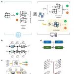 研究进展：量子计算解码器 | Nature Computational Science