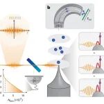 研究进展：量子光驱动金属针尖电子发射-光与物理相互作用 | Nature Physics
