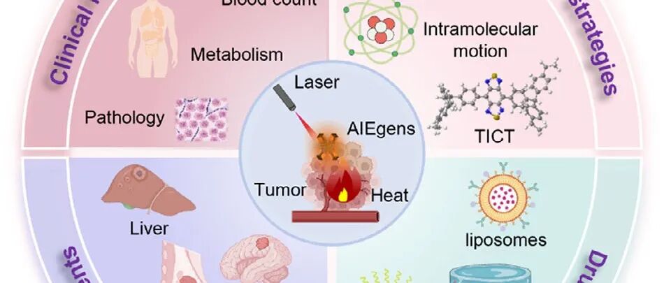 【Small】NIR-II AIEgens光热疗法的临床前研究：跨肿瘤类型