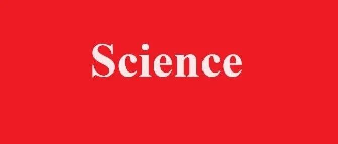 祝贺！大连理工大学博士生研究成果登上《Science》！