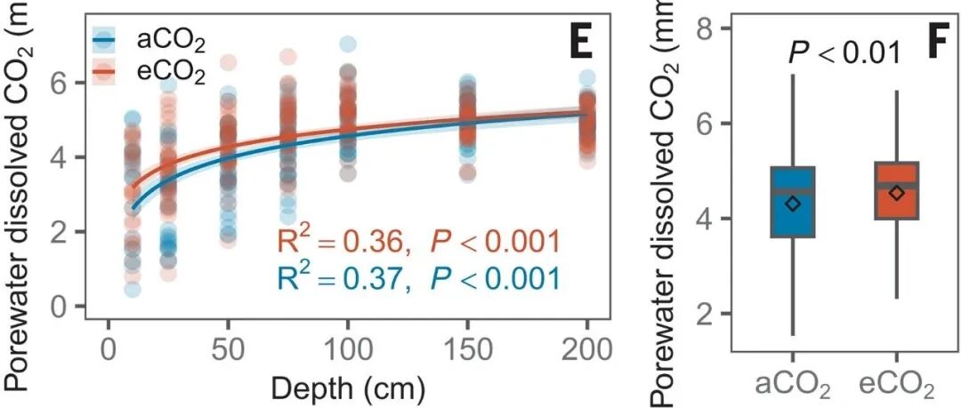 生态系统碳流失丨SCIENCE：干旱导致的泥炭地碳损失因CO2浓度升高和气候变暖而加剧