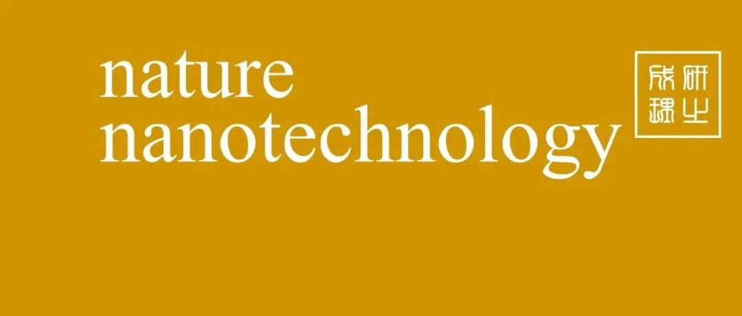 华东理工大学，Nature Nanotechnology！