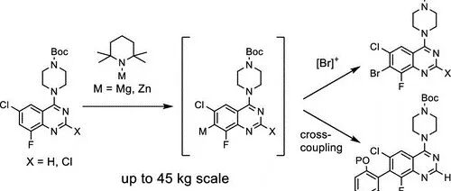 Selective Metalation of Functionalized Quinazolines