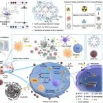 ACS Nano：具有放射激活抗肿瘤免疫功能的金属salphen-共价有机框架基半导体人工酶可抑制肿瘤转移和复发