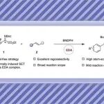 【JOC】广西民大王飒飒副教授课题组：Brønsted酸催化的烯烃C-H键断裂——区域选择性合成α-乙烯烃、α-炔烃氨基酸衍生物