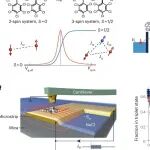 研究进展：单分子结-强关联电子材料 | Nature Reviews Physics