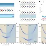 研究前沿：室温极化激元WS₂-自旋电子器件 | Nature Photonics