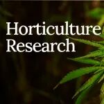 Hortic Res | 福建农林大学张立武团队解析籽用大麻性染色体及性别决定区域的结构特征