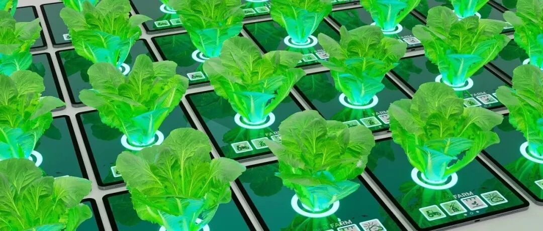 新型高光谱表型技术助力新基因挖掘
