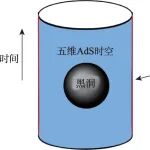 黑洞的熵与信息疑难