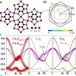 (纯计算)太原师范学院/山西师范大学/中科院高能所Phys. Rev. B: 二维金属-有机框架Cu3(CO)6的各向异性超导性