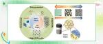 【Chem. Sci.】中山大学姜久兴课题组：纤维状本征沸石基Pickering乳化剂