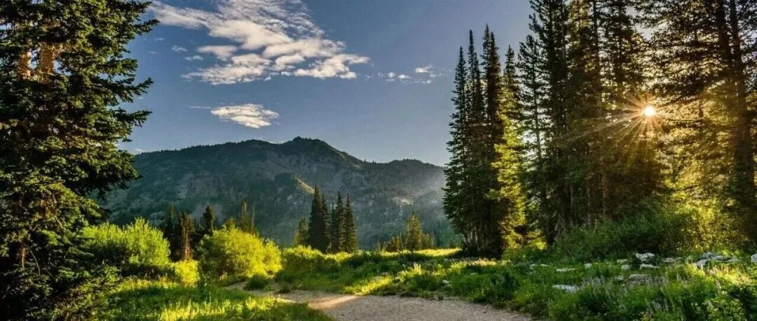 《管理科学学报》|| 2025年第 9 期目录、摘要