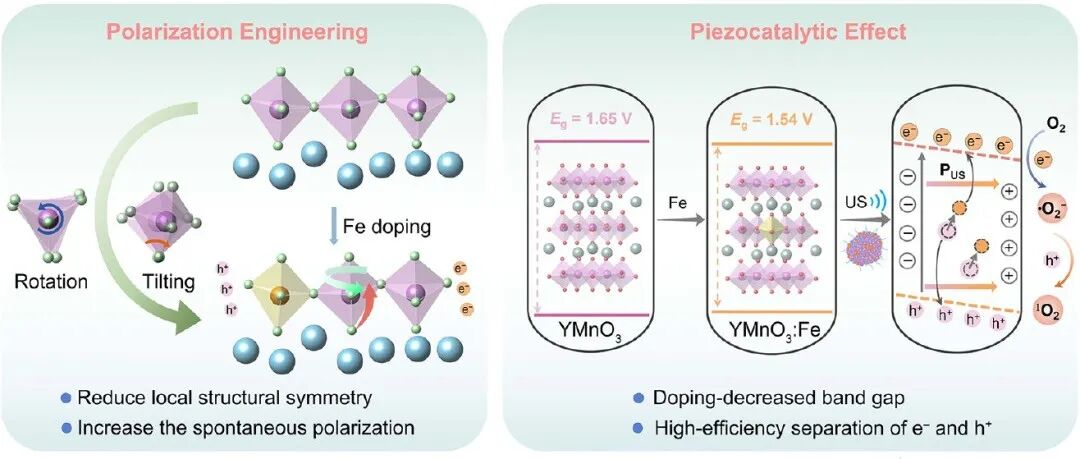 【J.Am.Chem.Soc】Fe3+占B位掺杂的稀土六方锰的极化工程和化学键重建用于压电催化治疗和铁死亡