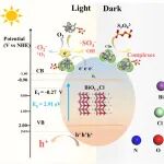 哈工大（深圳）杨磊课题组WR：通过CDs-BiO1-xCl/PS体系利用可见光调控自由基/非自由基活化途径实现污染物全天候降解