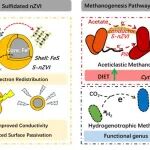 济南大学牧辉团队BT：硫化纳米零价铁增强甲烷化机理探究——电子重分布和DIET驱动的代谢重构