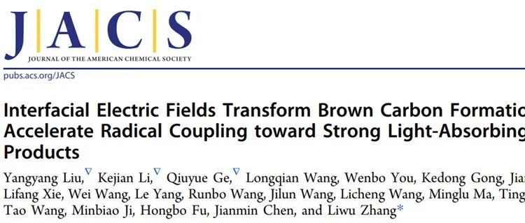 复旦大学张立武JACS：气液界面调控大气棕色碳生成路径，揭示气溶胶光化学“加速器”机制