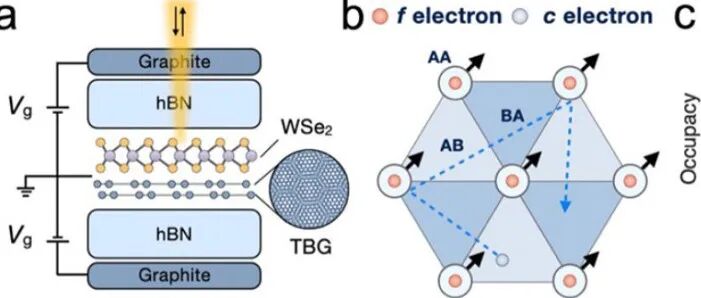 魔角石墨烯中级联转变与关联陈数绝缘体的联系 | 进展
