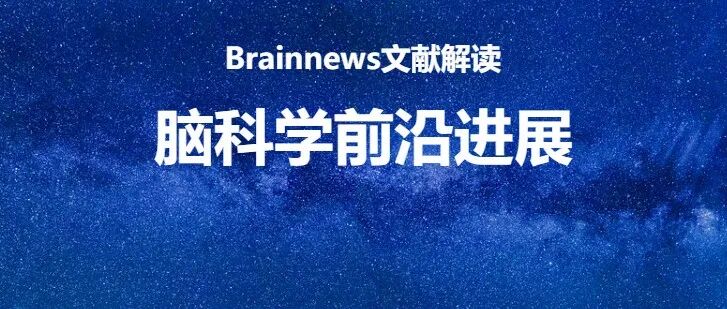 Sci Adv：司马健团队揭示阿尔茨海默病Aβ清除新靶点并发现候选小分子药物