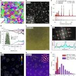 华东理工大学Nature正刊 低温强韧性协同提升
