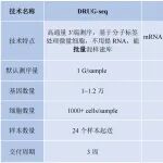 DRUG-seq/SMART-seq全景转录图谱突破类器官微量细胞样本限制