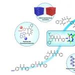 厦门大学江云宝教授课题组：酰基氨基酸酰胺基硫脲——手性螺旋构筑新基元