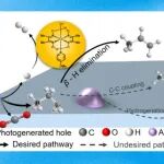 【ACS Catal.】南昌大学杨维冉课题组：光催化脂肪酸脱羧烯基化协同生产线性α-烯烃和氢气