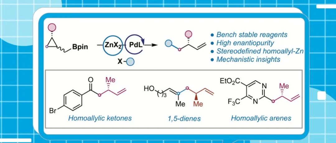 【JACS】马德里自治大学Mariola Tortosa：利用环丙甲基硼酸酯作为通用试剂实现过渡金属催化的高烯丙基化反应