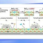 【JACS】上海交大叶天南团队：C₂缺陷实现氮气水平吸附活化与高效合成氨