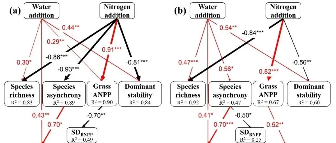 Functional Ecology | 植物所白文明研究团队在典型草原生态系统地下地上生产力稳定性调控机制研究中取得新进展