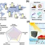 西北农林科技大学樊志敏教授团队Science Bulletin：基于MXene的太阳能界面蒸发技术新突破，实现淡水与硼“双丰收”