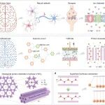 兰州大学栗军帅/马鸿云团队Adv. Funct. Mater.：面向类脑计算应用的千赫兹超级电容器二极管