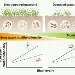 中国科学院植物研究所博士后一作发Nature Plants