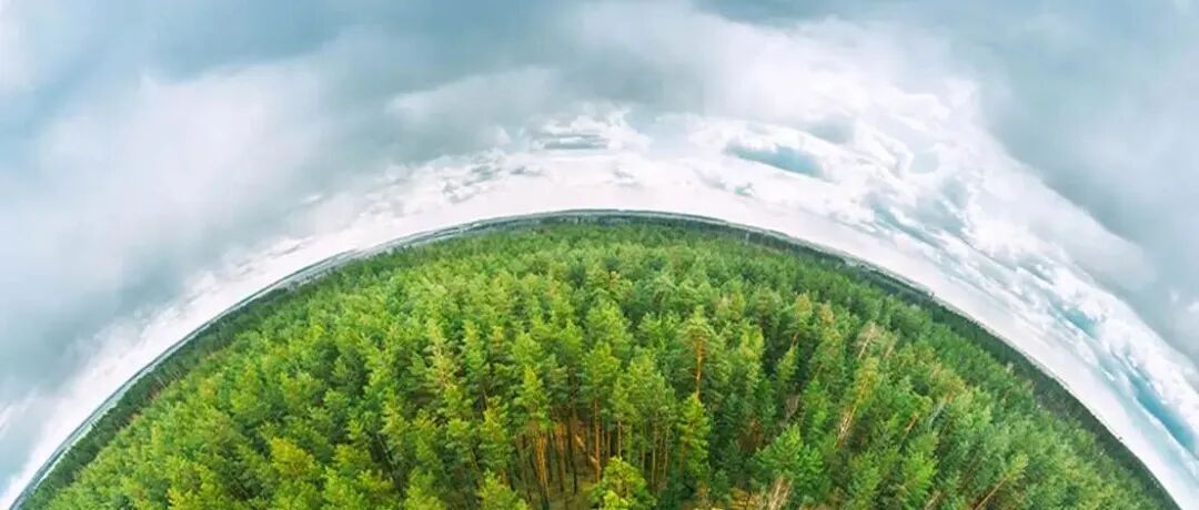 我们如何更好地预测未来气候？答案或许藏在路边的一花一草