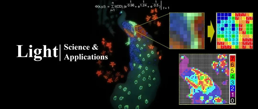 刘凯凯/单崇新等Light | 碳点中三重态激子时间演化的含时物理不可克隆函数