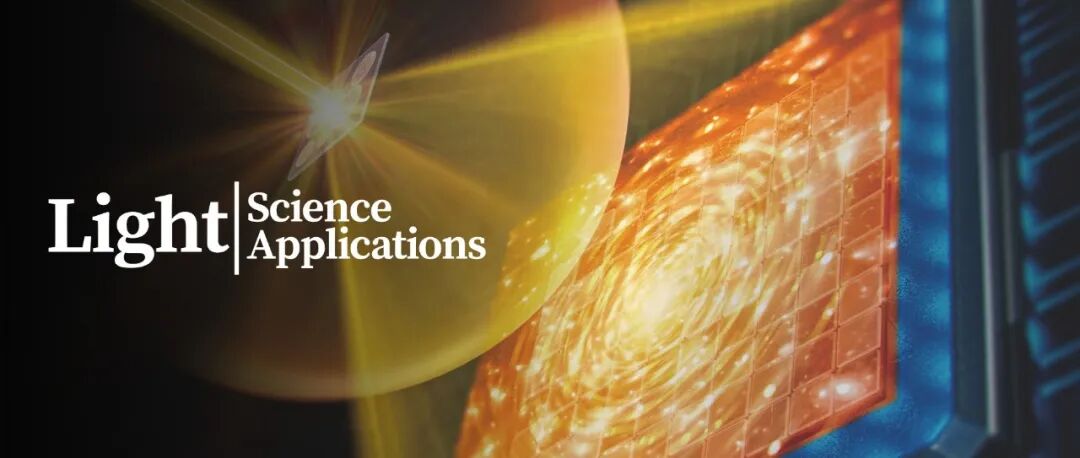 速览：Light 第14卷 第10期