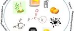 Organics：有机合成、功能材料开发及生物医药应用领域精选文章合集