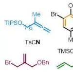 J Am Chem Soc | 四川大学秦勇实现二萜生物碱giraldine I与heterophyllisine的首次全合成