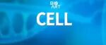 Cell | 曹灿/薛天/陈贺团队开发出可以摆脱中缝背核负反馈抑制的快速抗抑郁药物