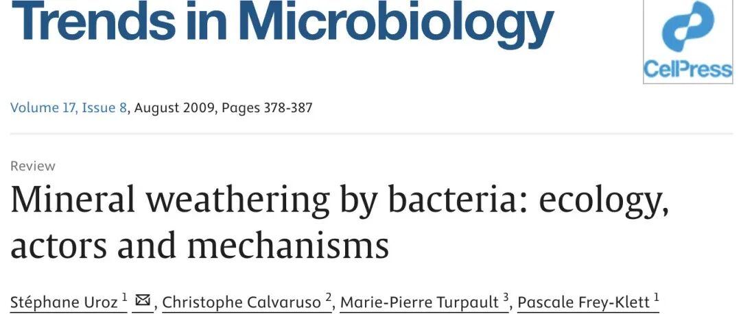 Review｜细菌引起的矿物风化：生态、参与者及机制